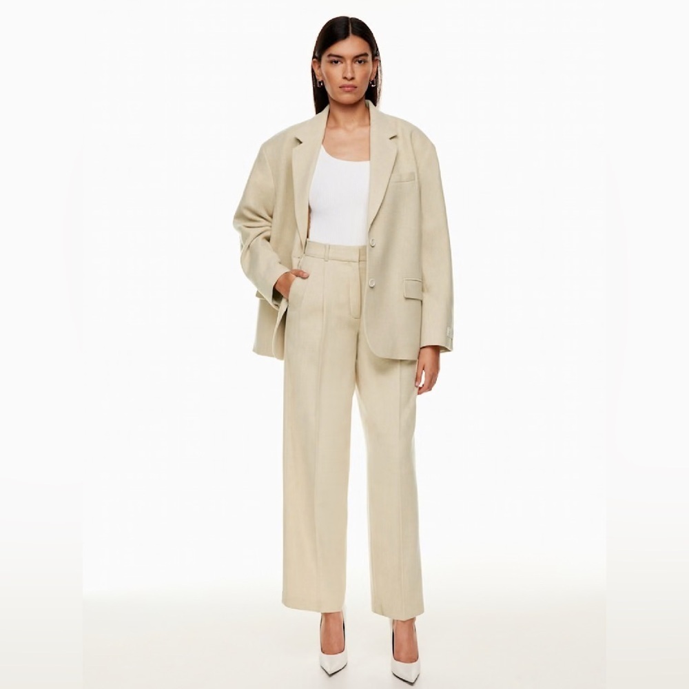 Aritzia Babaton Pleated Pant